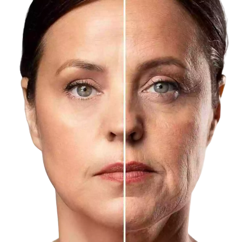 Massageador Facial Rejuvenescedor Multifuncional - Loja tendimonte